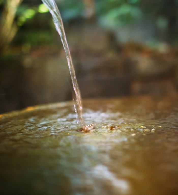 はなのゆについて